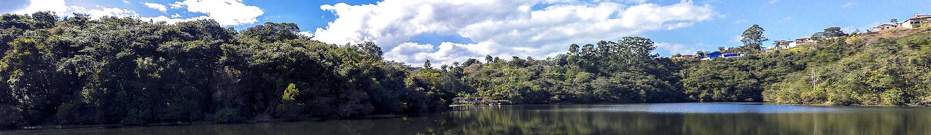 Banks of the Amazon
